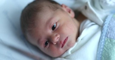 Newborn baby inside hospital crib after birth