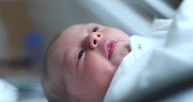 Newborn baby observing world inside hospital crib after birth, first day of life