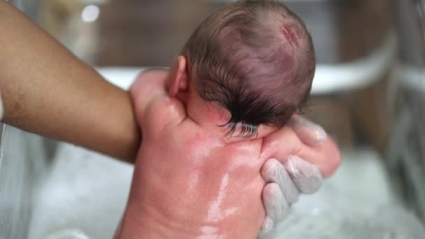 Baby Newborn Taking Bath Washing Infant — Stock Video