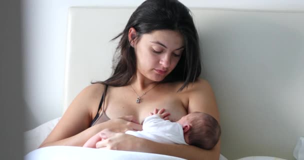 Candid Mom Breastfeeding Infant Newborn Baby — Stockvideo