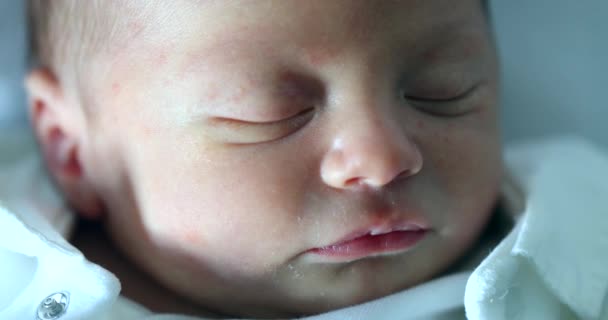 Newborn Baby Face Closeup Eyes Closed Sleeping — Vídeos de Stock