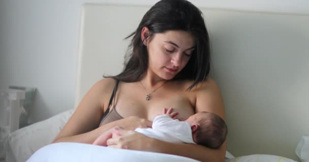 Mother Breastfeeding Newborn Baby Morning — ストック動画