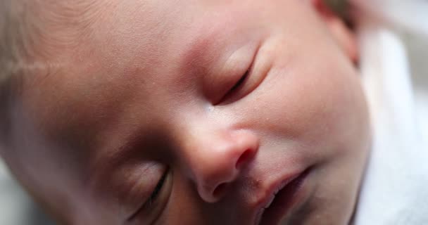 Newborn Baby Macro Close Face First Day Life — Stockvideo