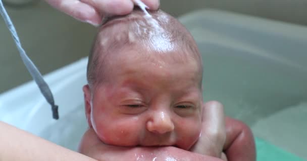 Close Baby Small Bathtub Washing Little Newborn Baby Face Body — Video