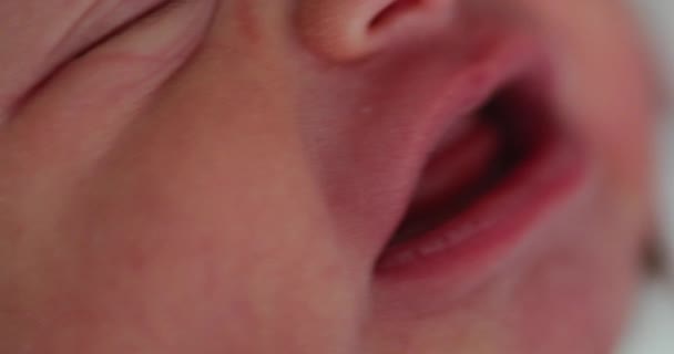 Newborn Baby Macro Close — Vídeo de Stock