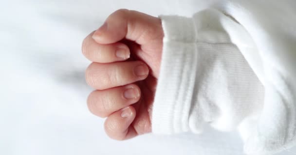 Newborn Baby Hand Macro Close — Stock video