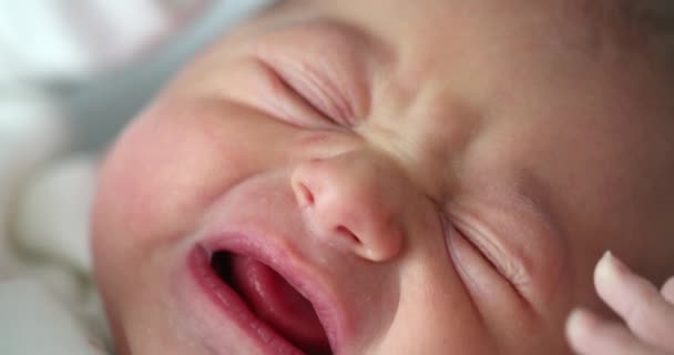 Νεογνό Μωρό Close Πρόσωπο Κλάμα Πρώτη Μέρα Της Ζωής — Αρχείο Βίντεο
