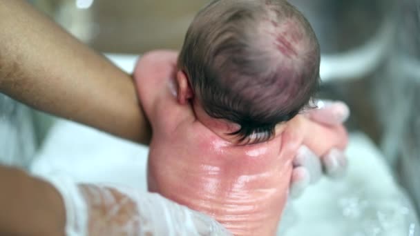 Newborn Baby Being Given Bath First Time Hospital — Stockvideo