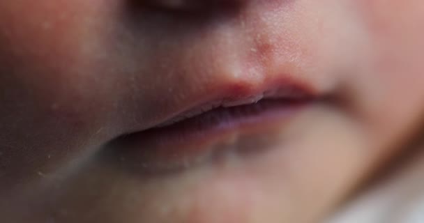 Newborn Macro Close Lips Face Detail Sleeping — Vídeo de Stock