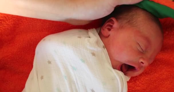 Newborn Baby Infant Wrapped Towel Crying — Stock video