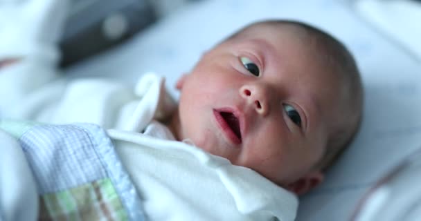 Newborn Baby Hospital Nursery Birth First Day Infant Life Crib — Wideo stockowe