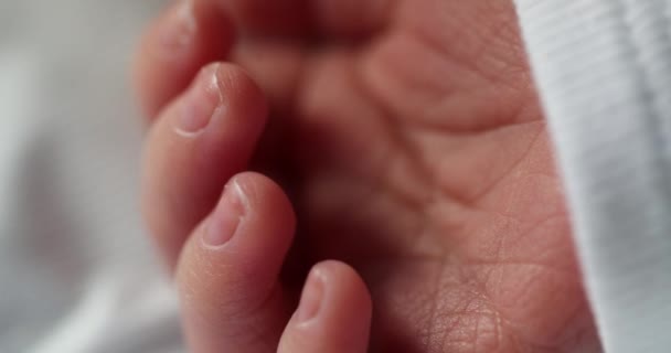 Newborn Baby Hand Detail Macro Close Infant Tiny Hand — Stockvideo