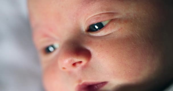Newborn Infant Baby Boy First Day Life Curious Observing World — Vídeos de Stock