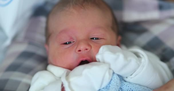 Новорожденный Ребенок Наблюдает Миром Учится Первый День Жизни Младенца — стоковое видео