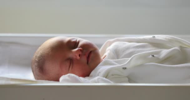 Newborn Infant Baby Asleep First Day Life Birth — Video