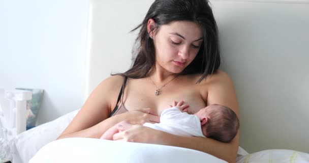 Mom Breastfeeding Infant Newborn Baby — ストック動画