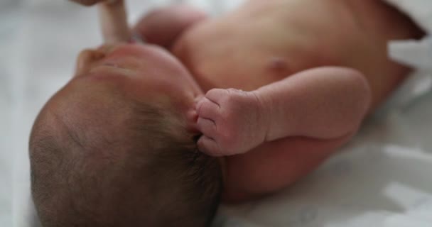 Newborn Baby Suckling Finger Feeding — Stock video