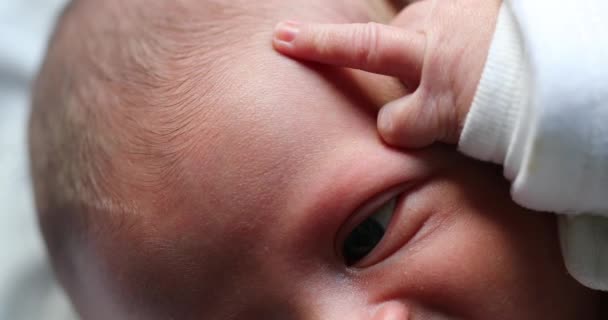 Newborn Baby Macro Detail Close — Video Stock