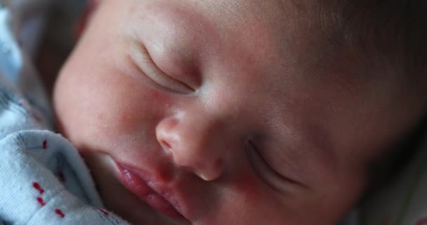 Close Newborn Baby Infant Face Sleeping First Week Life — Stockvideo