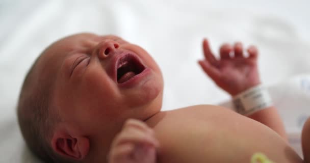 Newborn Baby Boy Crying Hospital Birth — Stock videók