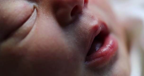 Newborn Baby Face Portrait Macro Close Infant First Day Life — Stockvideo