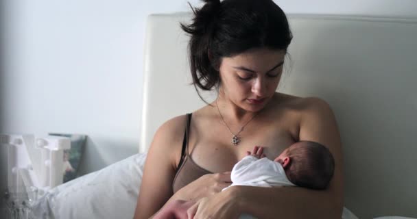 Candid Mom Breastfeeding Infant Newborn Baby New Mother Showing Love — ストック動画