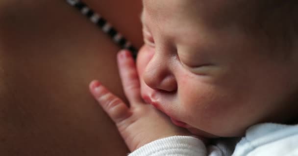 Newborn Baby Infant Sleeping First Days Life — Stockvideo