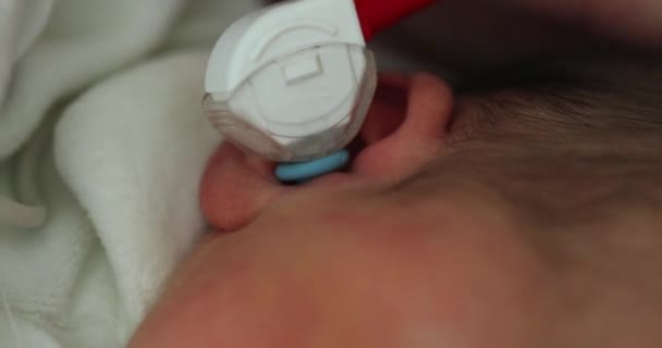 Newborn Physical Ear Examination Doctor Examining Infant Baby — Video Stock