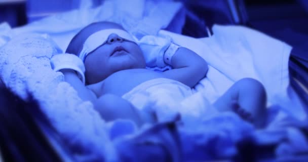 Newborn Baby Boy Phototherapy Lamp Getting Treated Jaundice — 비디오