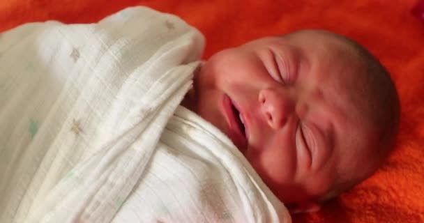 Newborn Baby Infant Wrapped Towel — Stockvideo