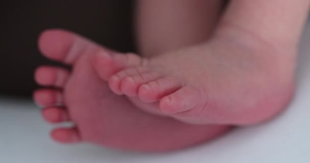 Newborn Baby Feet Toes Close Tiny Infant — Stockvideo
