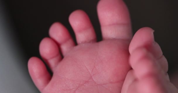 Tiny Newborn Baby Toes Feet First Days Life — Vídeos de Stock