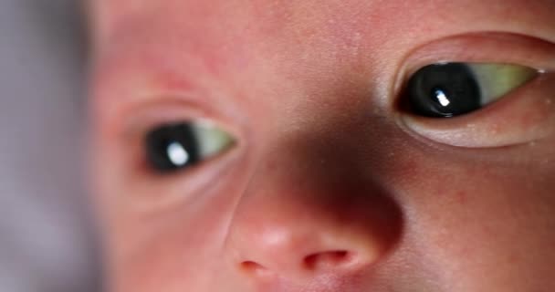 Νεογέννητο Γκρο Πλαν Μακροσκοπικά Μάτια Κατά Διάρκεια Της Πρώτης Ημέρας — Αρχείο Βίντεο