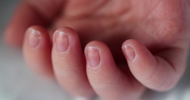 Tiny Little Newbirn Hand Macro Close — ストック動画