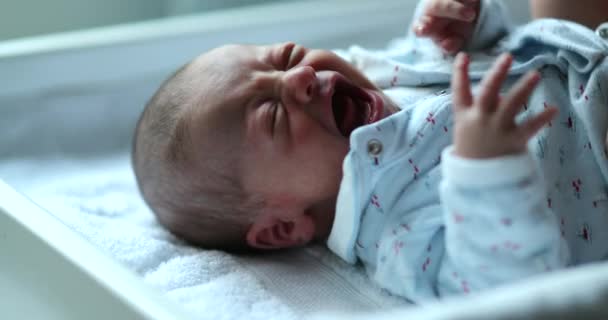 Βρέφος Νεογέννητο Μωρό Κλαίει Κατά Διάρκεια Της Πρώτης Εβδομάδας Της — Αρχείο Βίντεο
