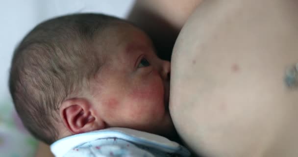 Feeding Newborn Baby Breastfeeding First Week Life — Vídeo de Stock