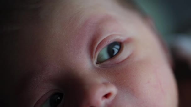 Curious Newborn Infant Observing World First Day Life — Video