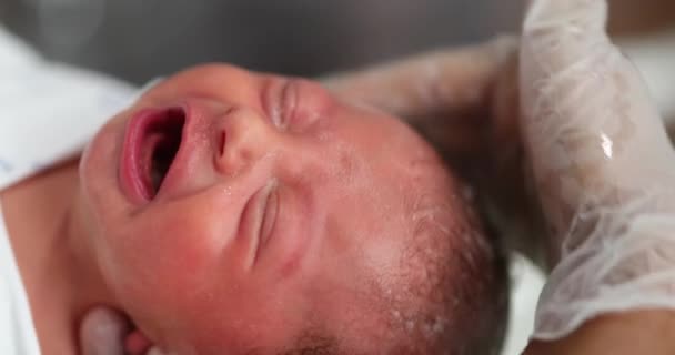 Newborn Baby Taking Bath Hospital Birth Crying — Stok Video
