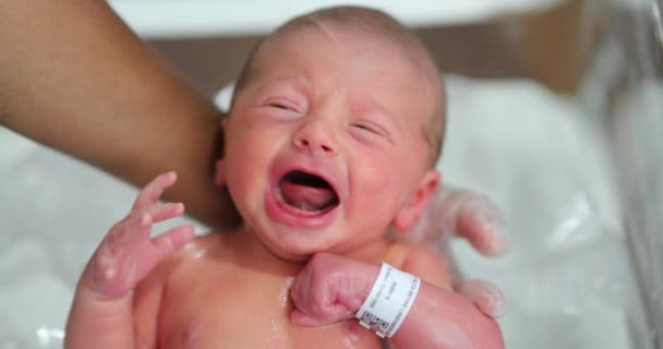 Newborn Baby Boy Crying While Taking Bath — Vídeo de Stock
