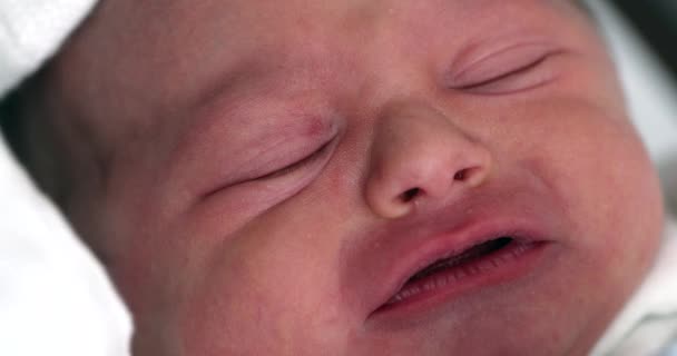 Νεογέννητο Μωρό Πρώτη Μέρα Της Ζωής Κλαίει — Αρχείο Βίντεο