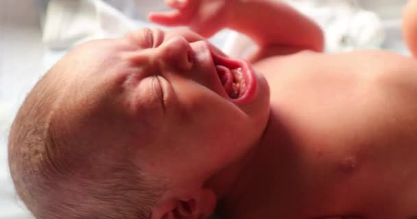 Newborn Baby Infant Crying First Week Life — Stockvideo