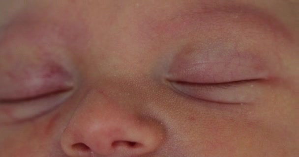 Newborn Macro Closeup Asleep — Stockvideo