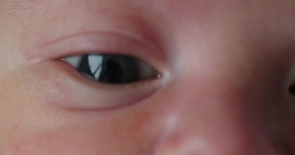 Close Newborn Baby Eyes Looking — Vídeos de Stock