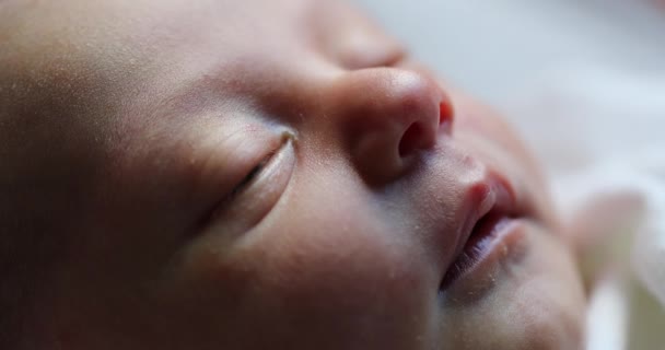Newborn Baby Face Closeup Macro First Day Life — Vídeo de Stock