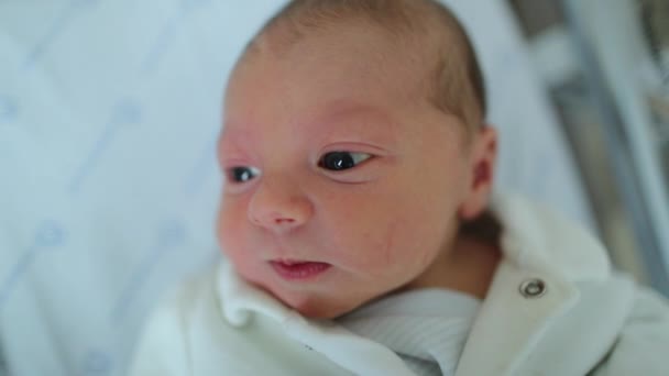 Newborn Baby Infant Observing World First Time Curious Cute Baby — Video