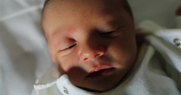 Νυσταγμένο Νεογέννητο Βρέφος Που Κοιμάται Και Ονειρεύεται — Αρχείο Βίντεο
