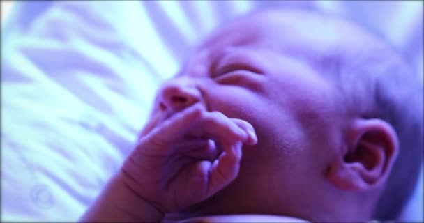 Newborn Baby Boy Getting Treated Jaundice Phototherapy Lamp — Stock video