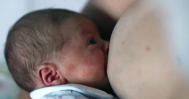Mother Breastfeeding Newborn Infant Baby First Week Life — Stockvideo
