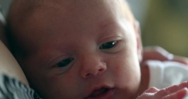 Newborn baby close-up first days of life awake observing learning about the world
