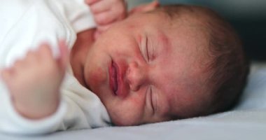 Cute adorable newborn baby waking up opening eyes and falling back to sleep again